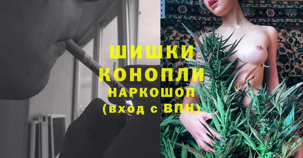 apvp Верхний Тагил
