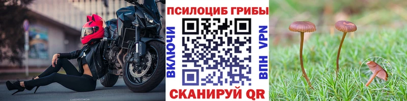Галлюциногенные грибы GOLDEN TEACHER  Сретенск 